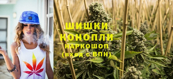 индика Бугульма