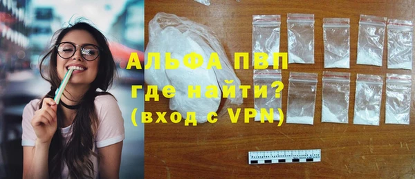 индика Бугульма