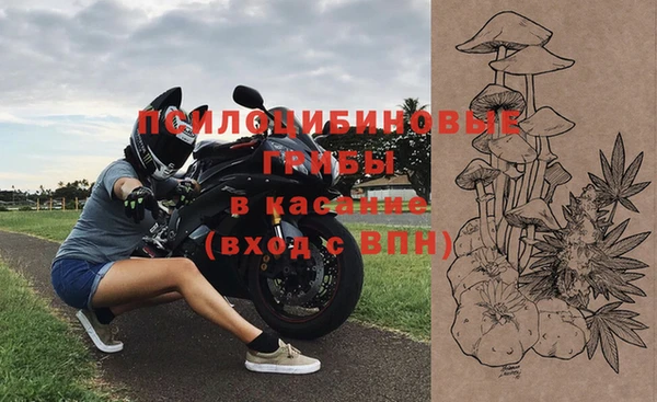 индика Бугульма