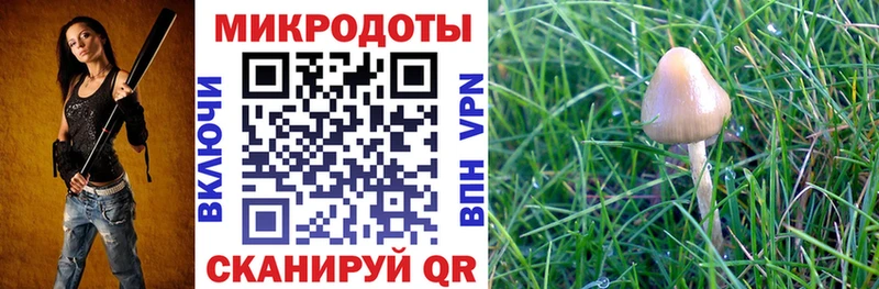 дарнет шоп  Нелидово  Галлюциногенные грибы прущие грибы 
